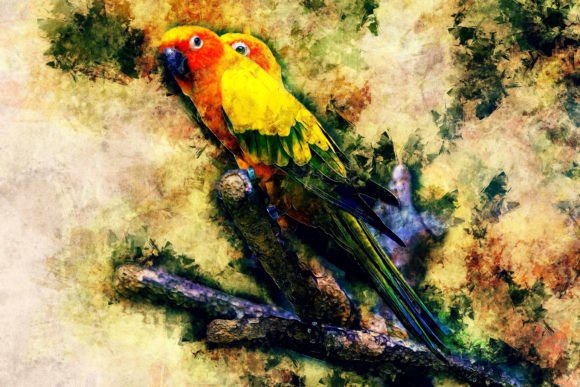 Download Bird Printable Graphics Pack# 06 - Printable graphics Collection